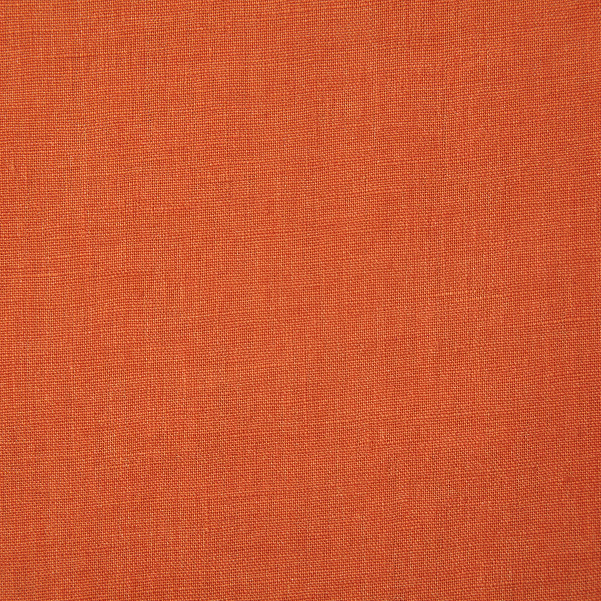 7646-linette-tangerine-pindler