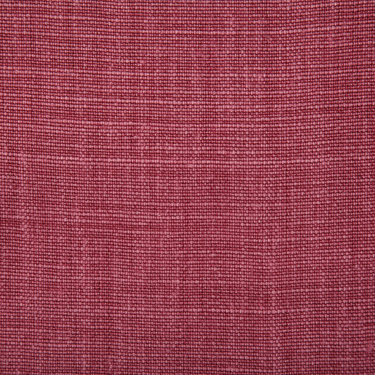 7647-paloma-fuchsia-pindler