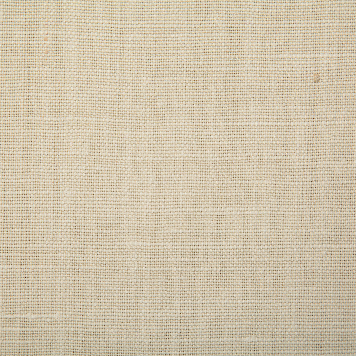 7647-paloma-ivory-pindler