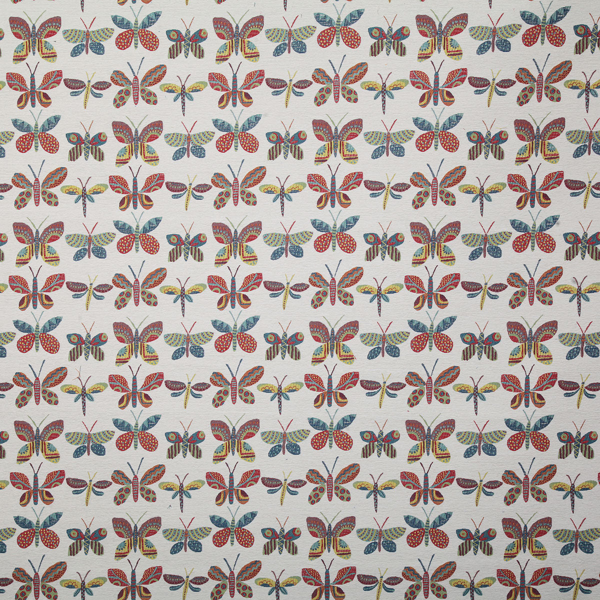 7657-butterflies-primary-pindler