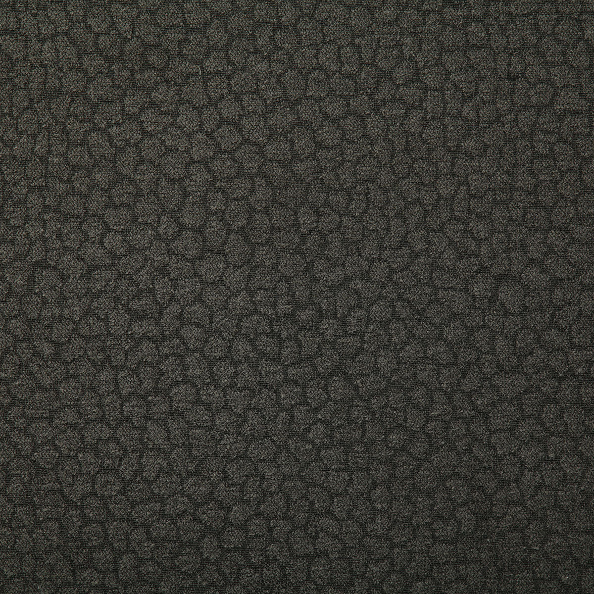 7676-spots-charcoal-pindler