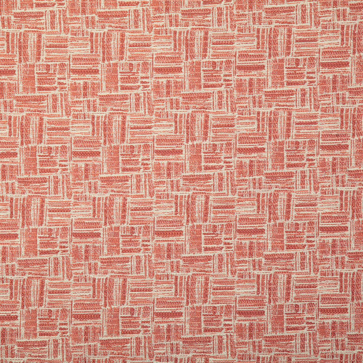 7677-corey-coral-pindler