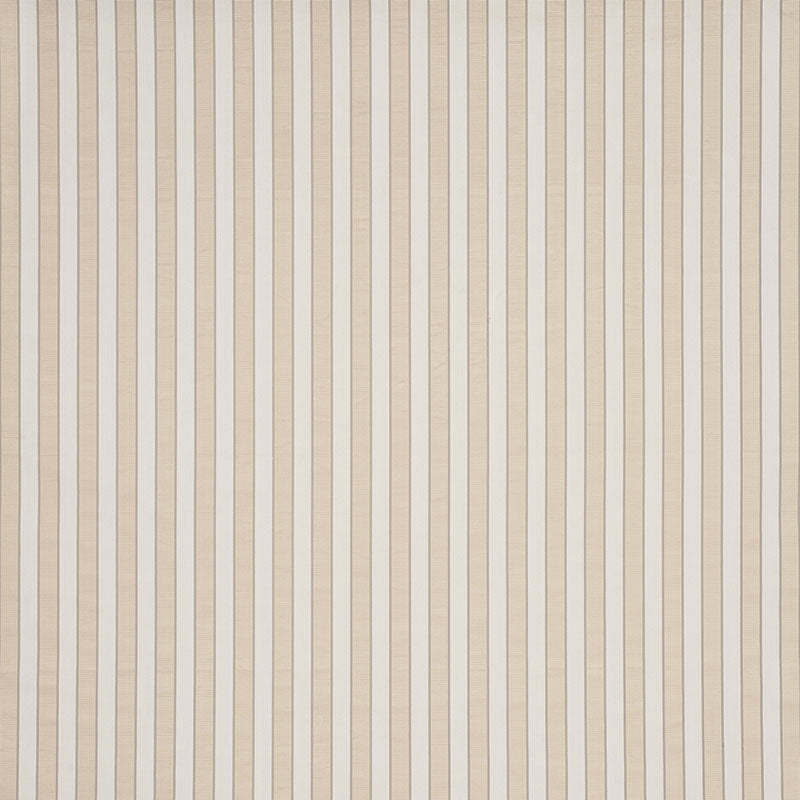 RIBBON-STRIPE-CHAMPAGNE-SCHUMACHER-77101