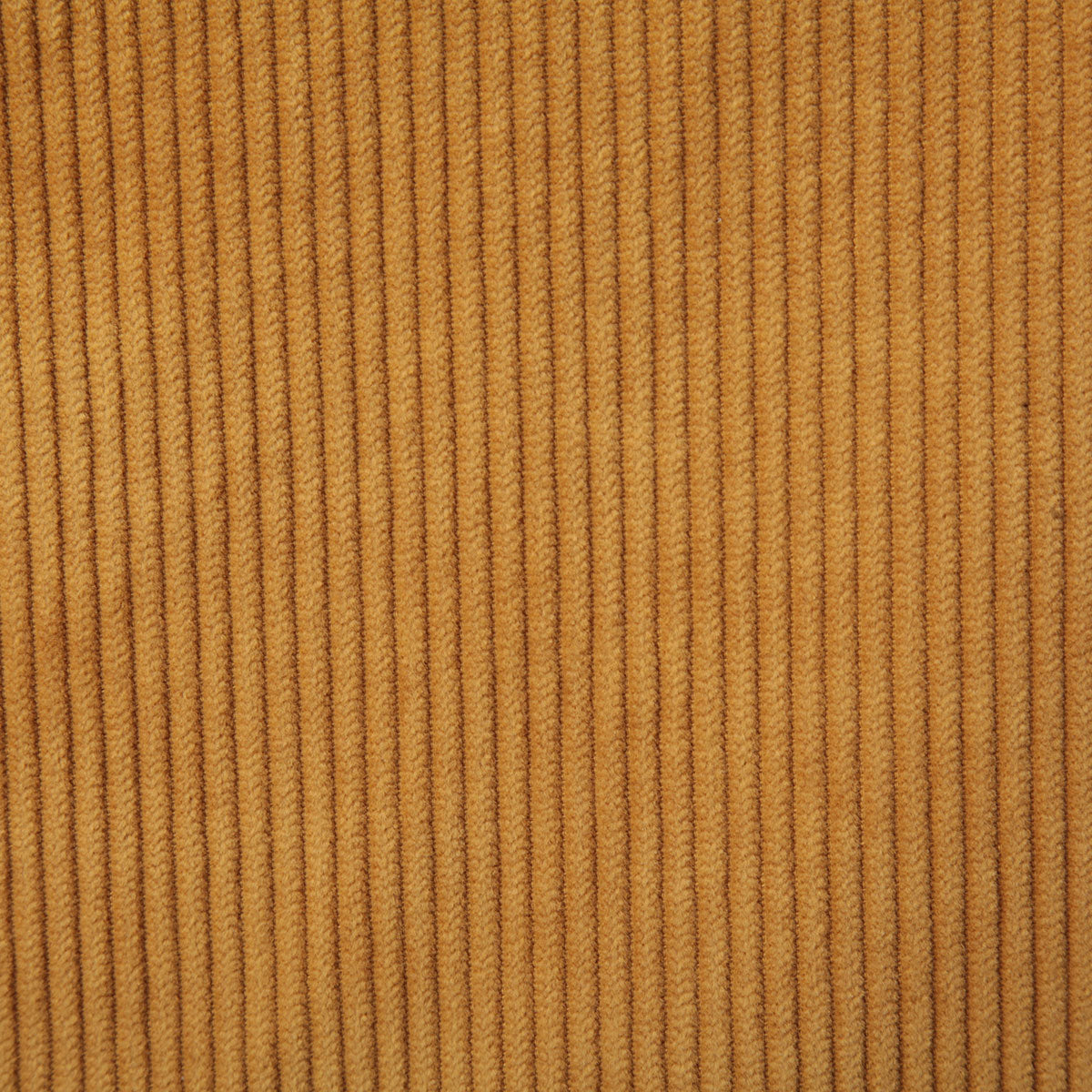 7746-corduroy-golden-pindler