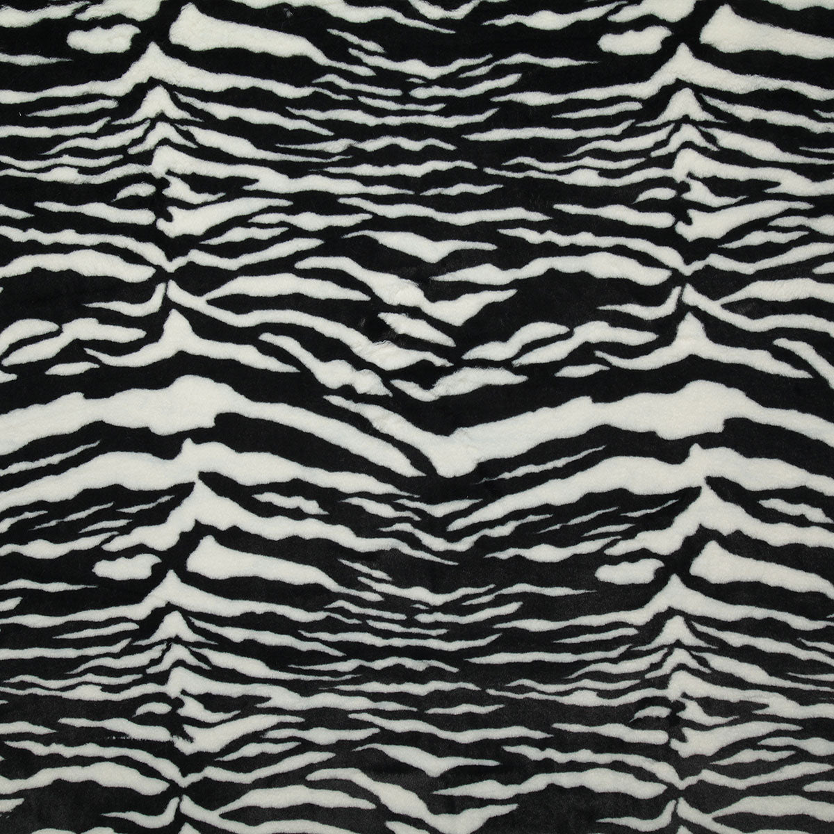 7748-tygra-zebra-pindler