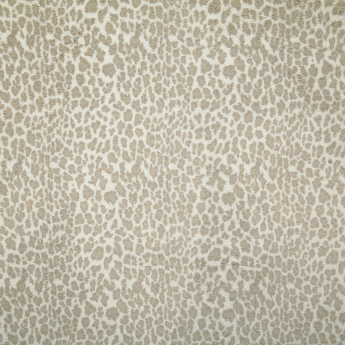 7749-cheetara-pebble-pindler