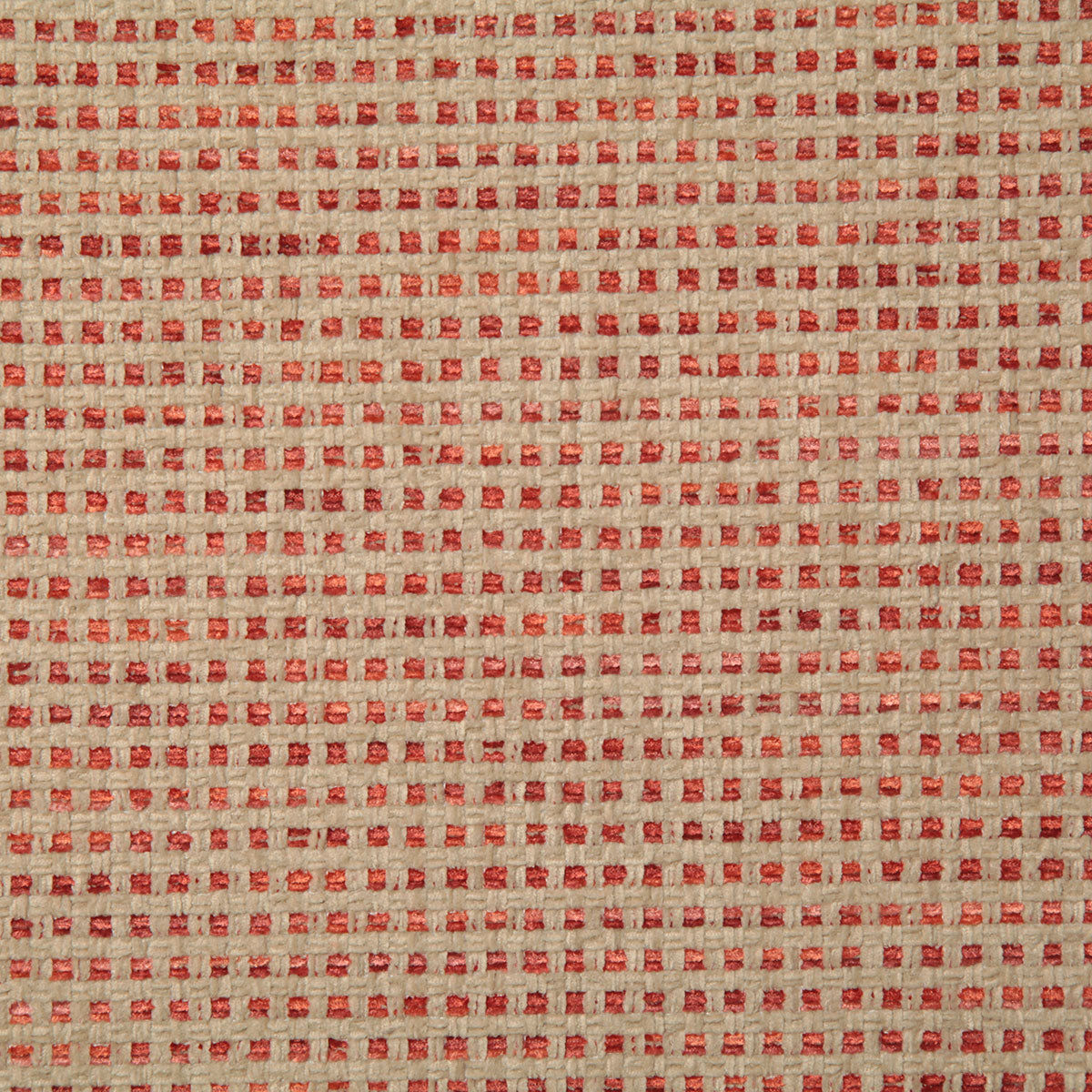 7775-irene-coral-pindler