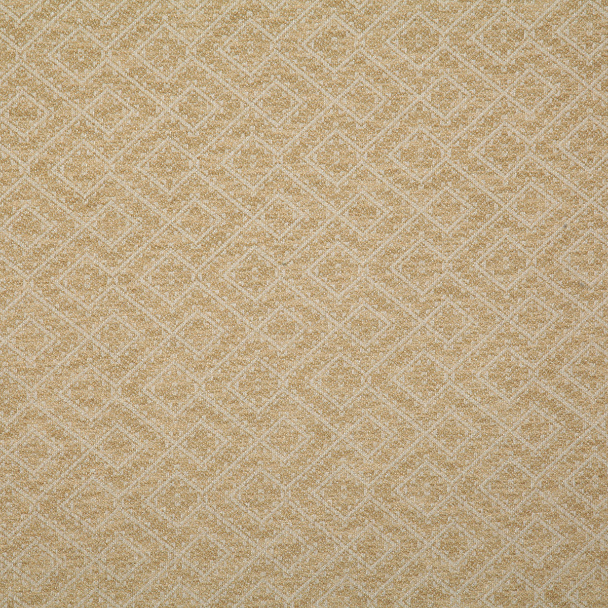 7776-netta-golden-pindler