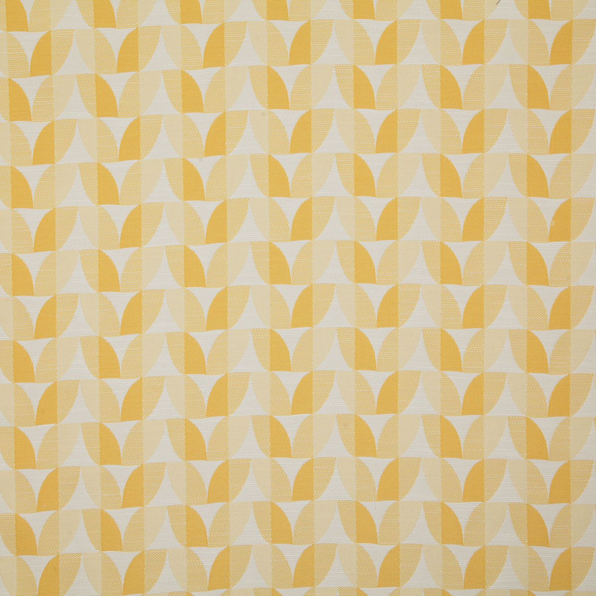 7784-furlong-lemon-pindler