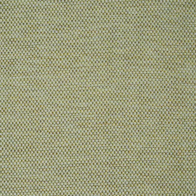 MOMO-HAND-WOVEN-TEXTURE-FERN-SCHUMACHER-78933