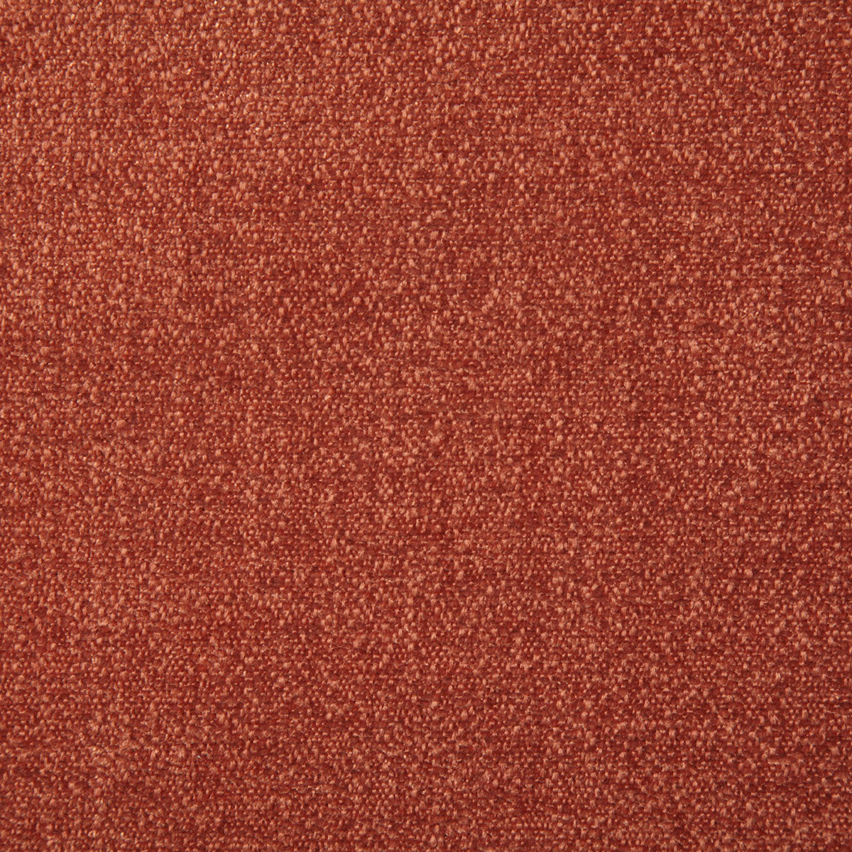 7895-wilkerson-paprika-pindler