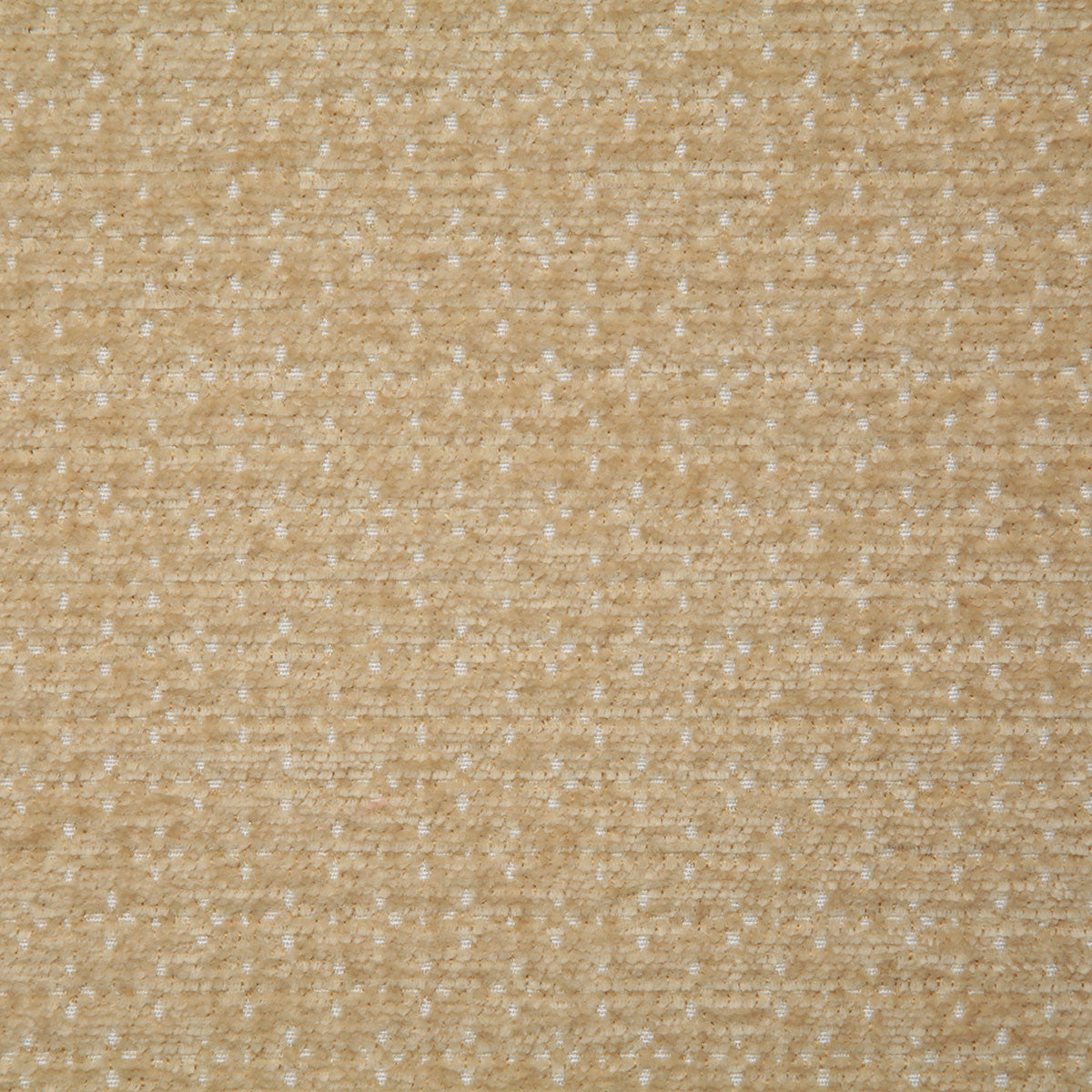 7903-kidman-wheat-pindler