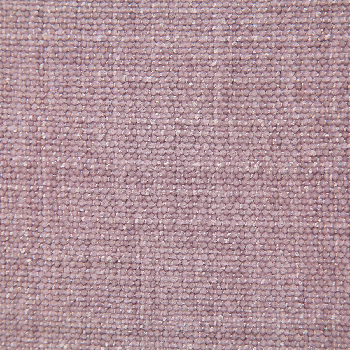 7942-gabe-lilac-pindler