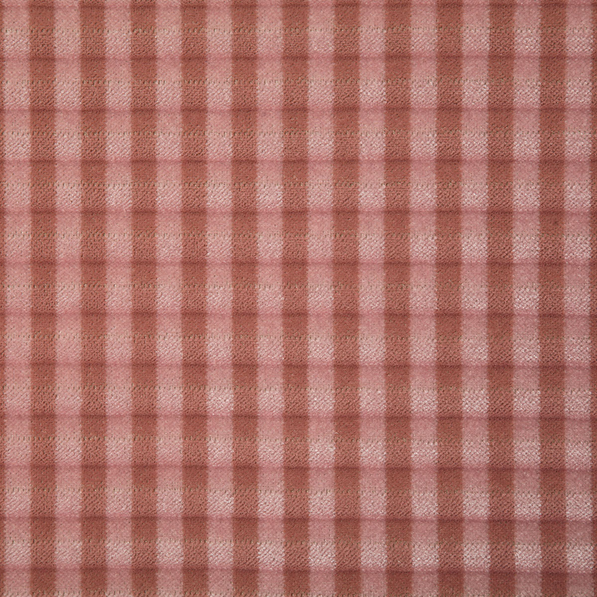 7947-rodger-blush-pindler