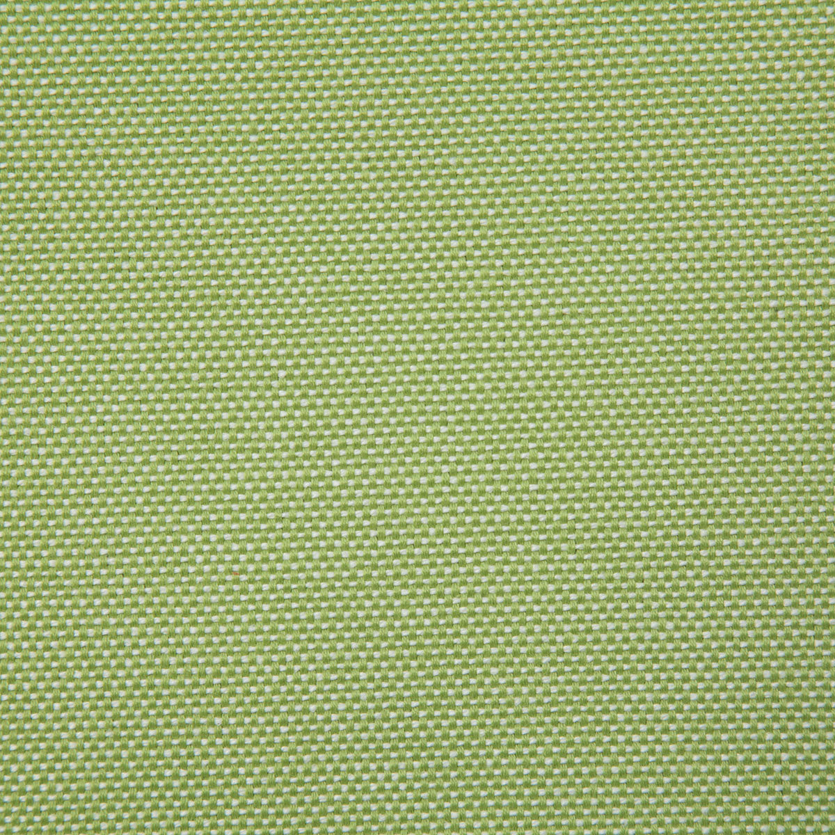 7990-gainsville-citrus-pindler