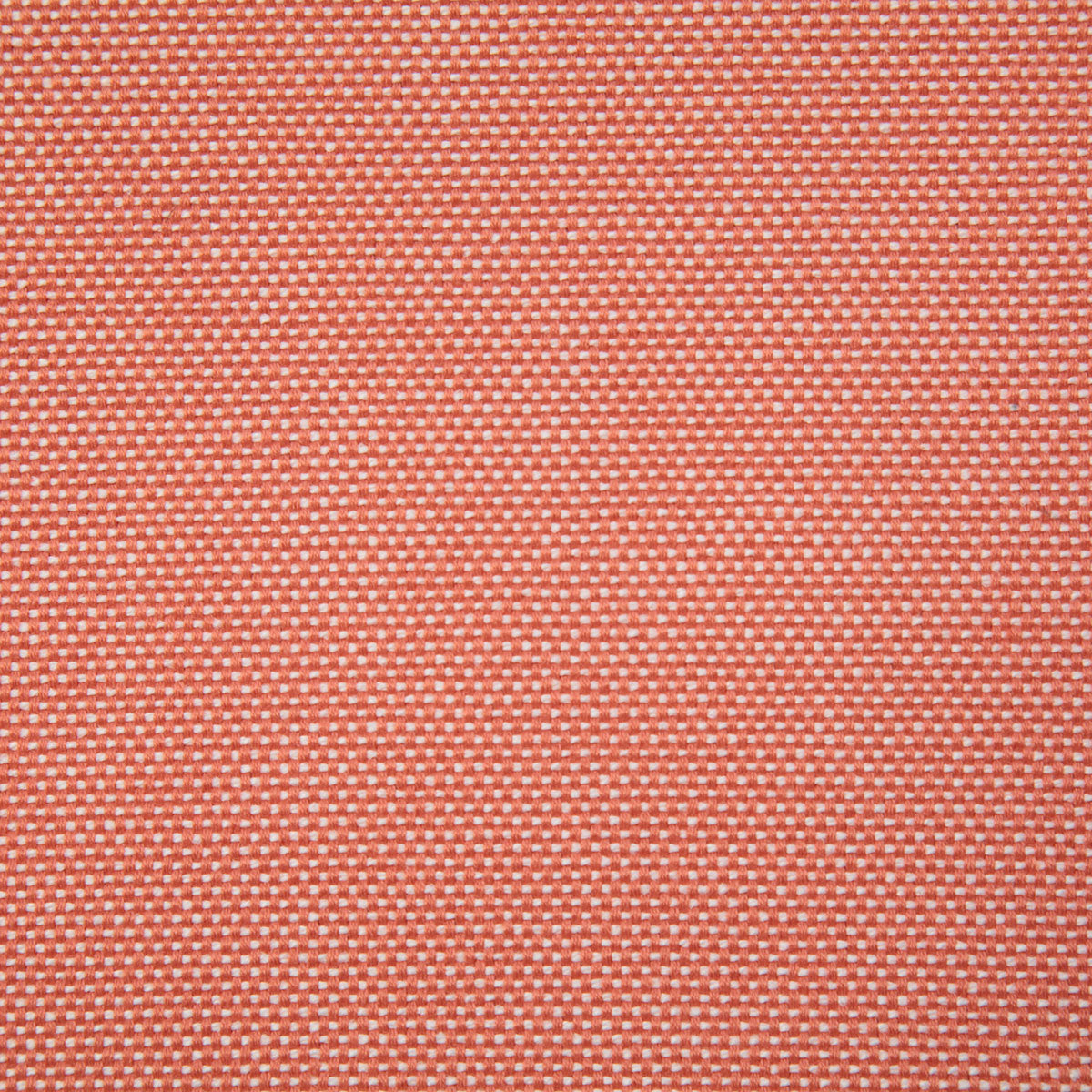 7990-gainsville-coral-pindler