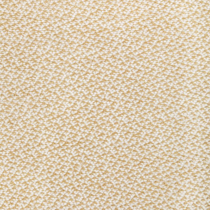 Brunschwig & Fils Fabric 8022122.4 Sasson Texture Gold