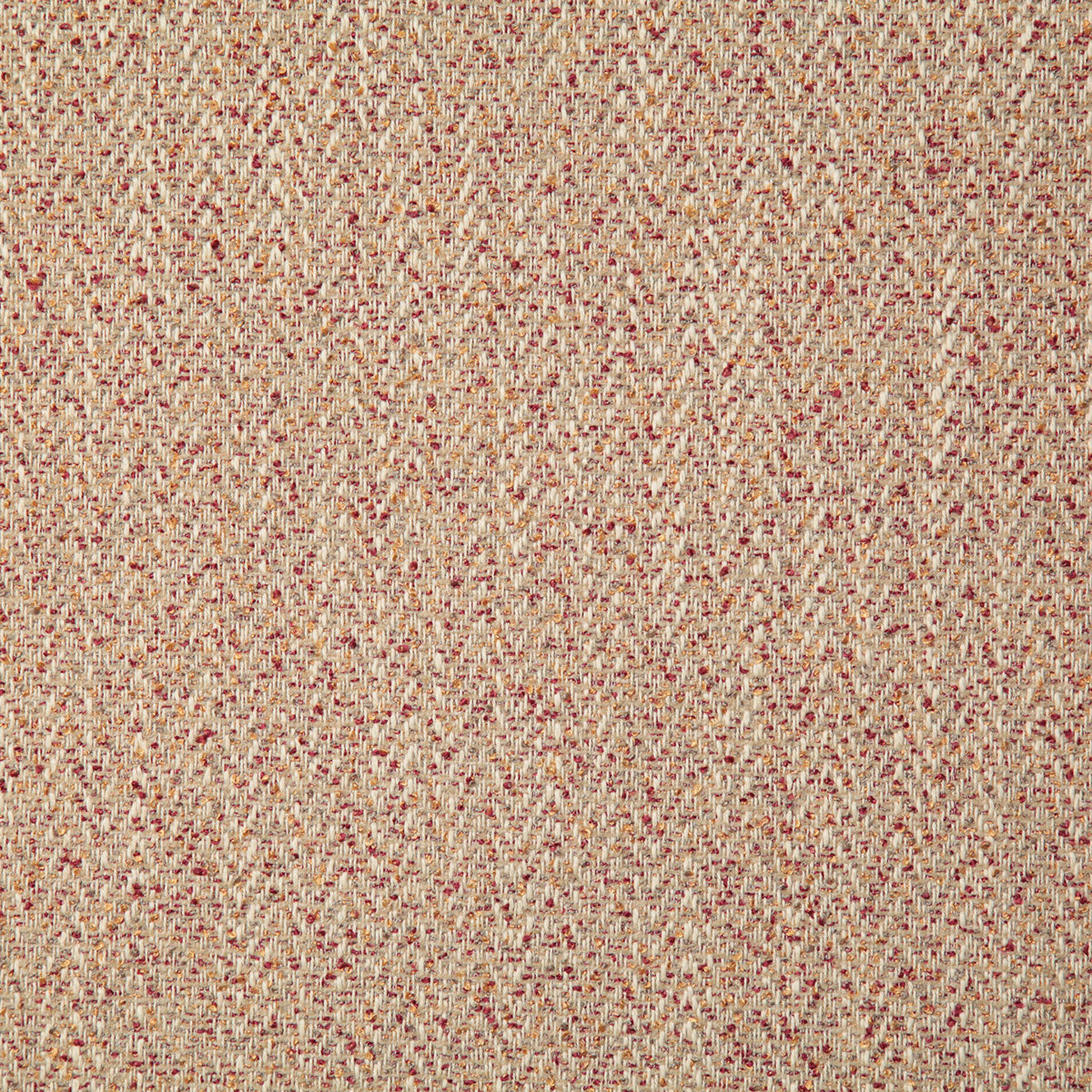 8062-gibbon-saffron-pindler