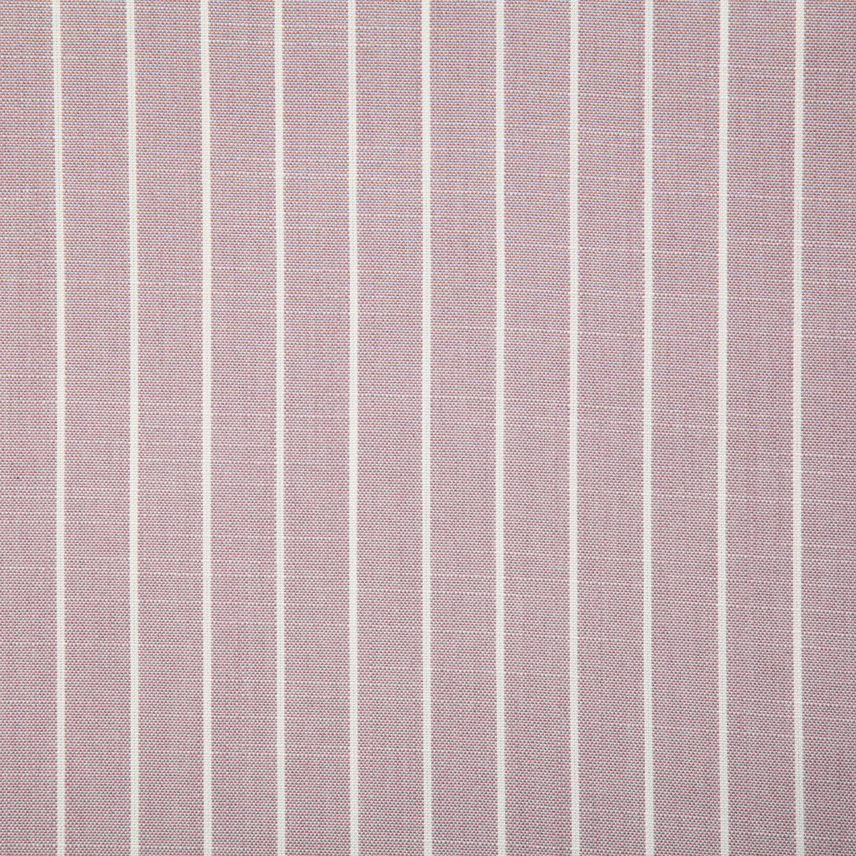 8093-tallard-lilac-pindler