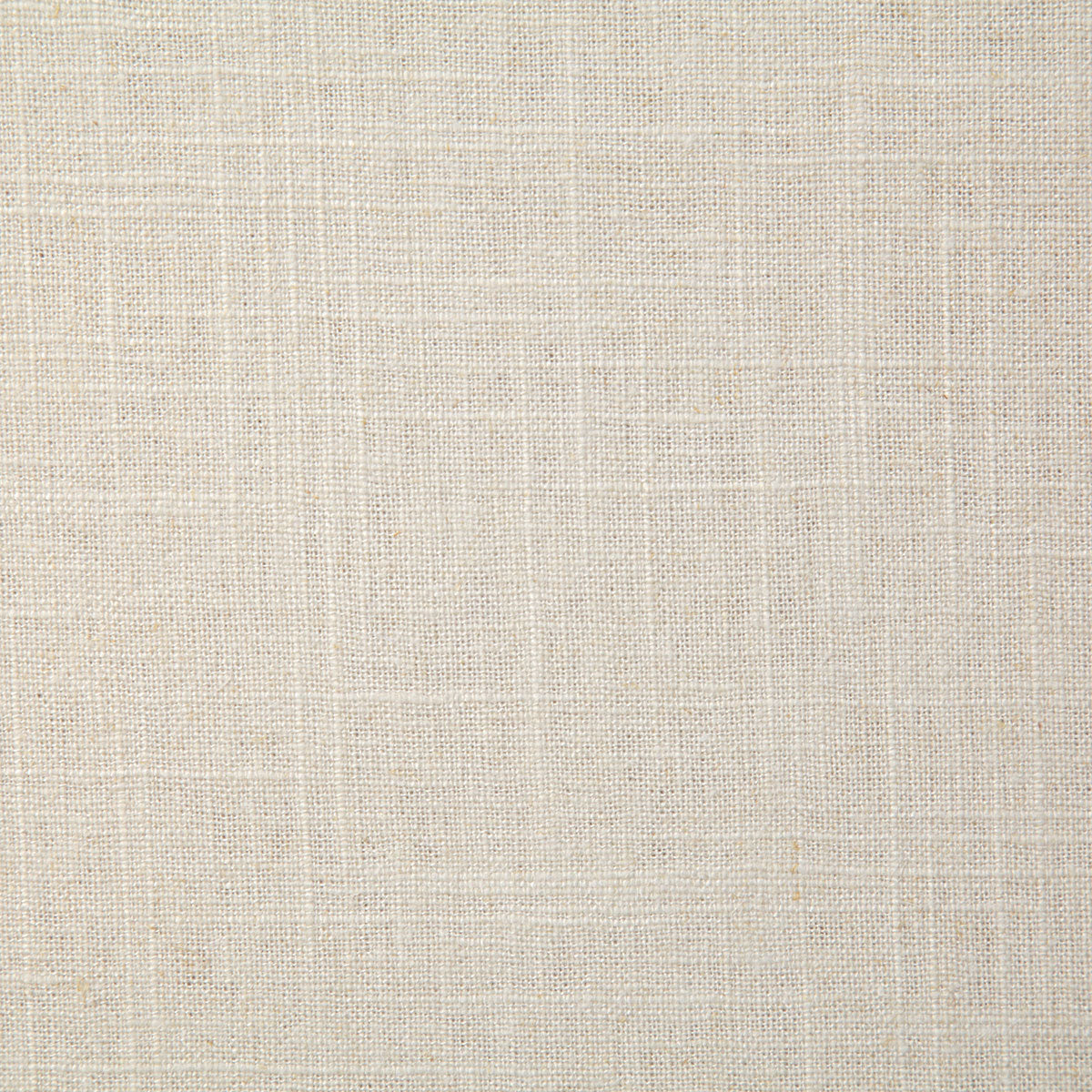 8136-reliance-papyrus-pindler