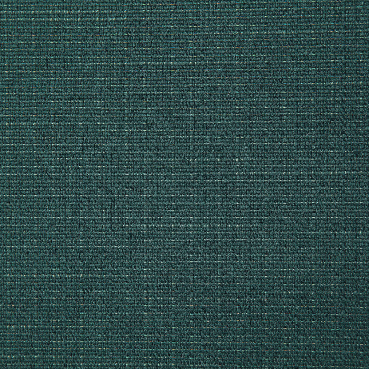 8152-darken-forest-pindler