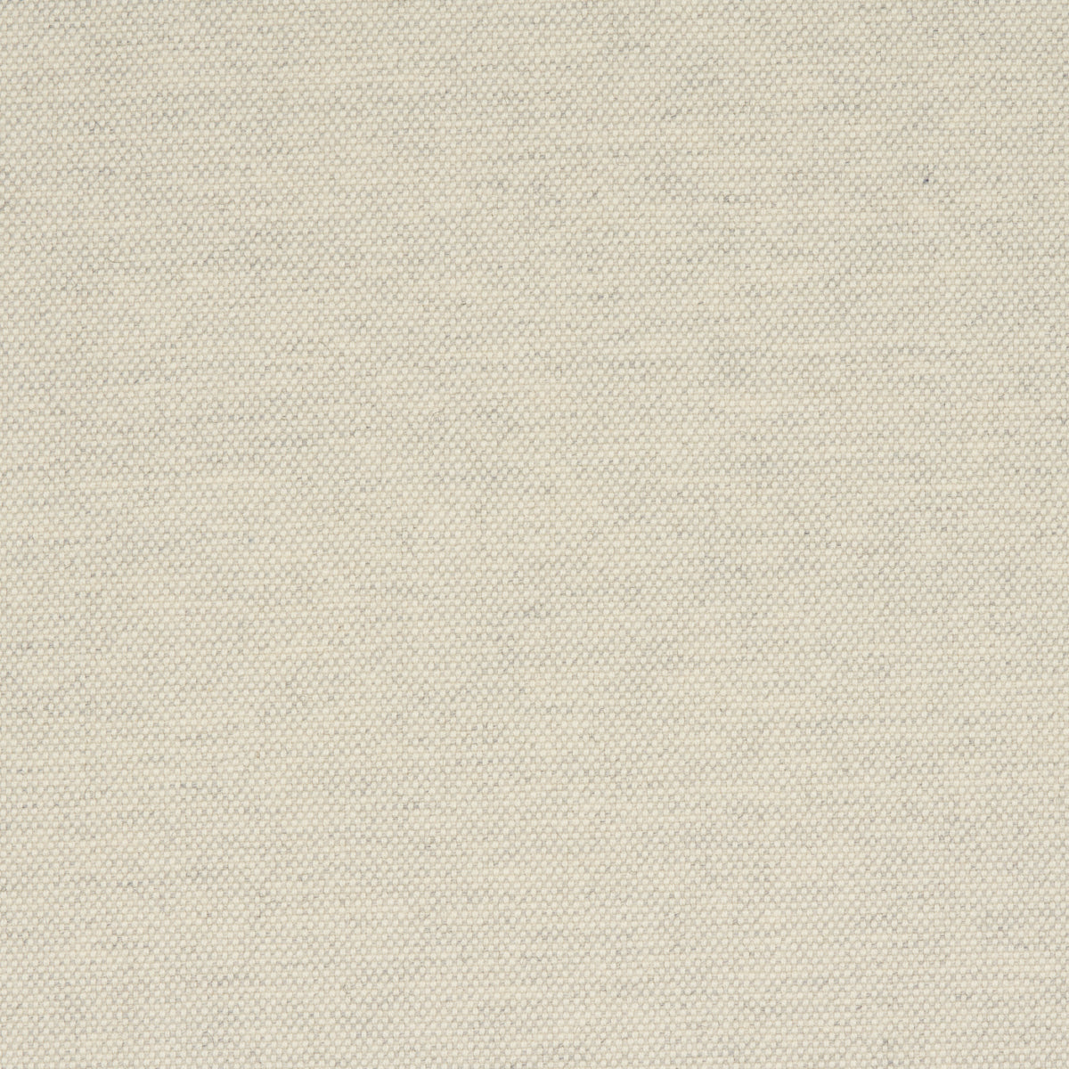 ATTICUS-WOOL-BIRCH-SCHUMACHER-81921