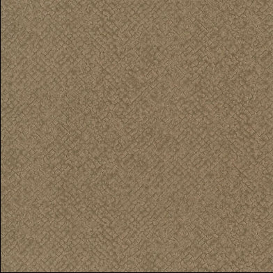 boro-designers-guild-pdg1042-08