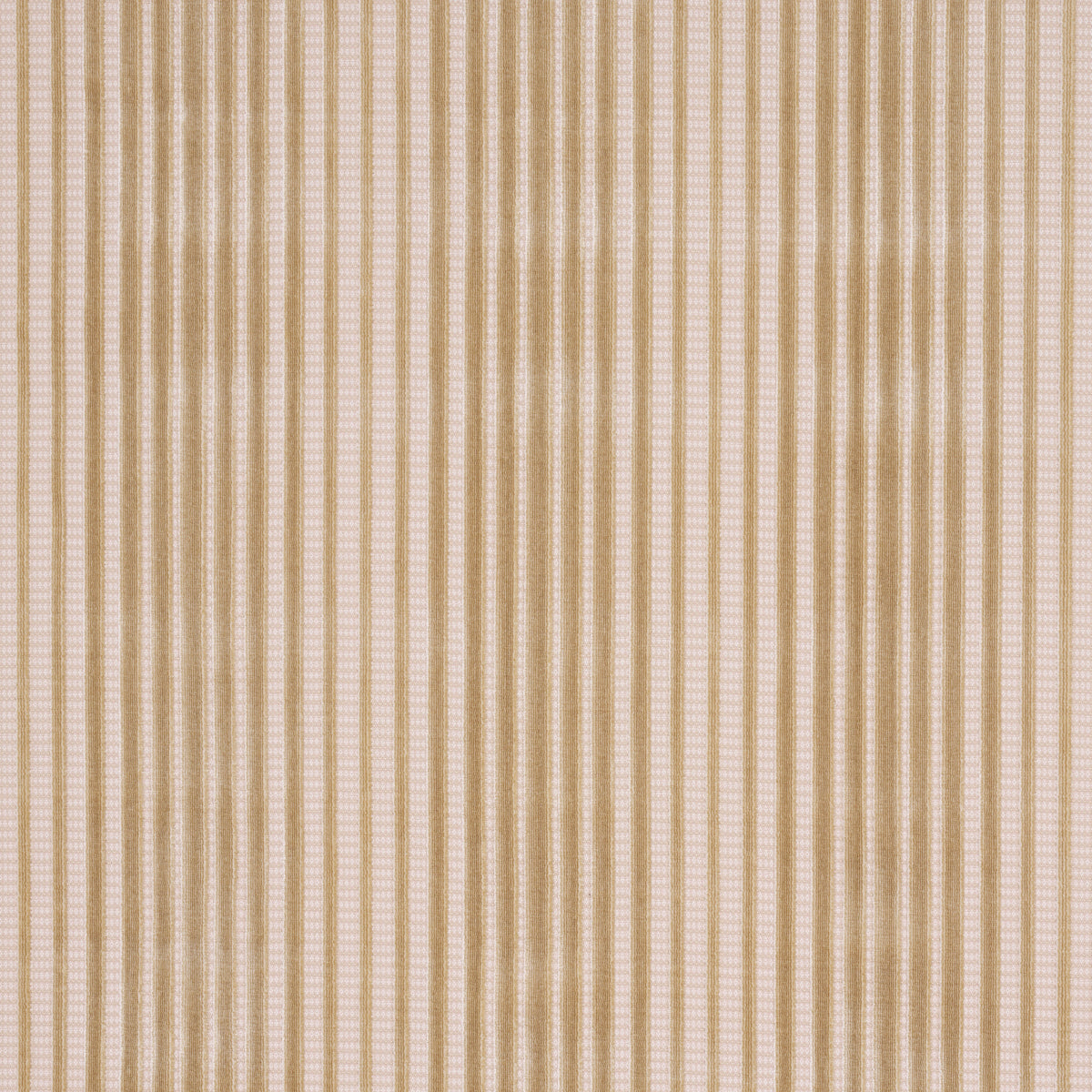 CHIMAY-STRIPE-VELVET-CHAMPAGNE-SCHUMACHER-82153