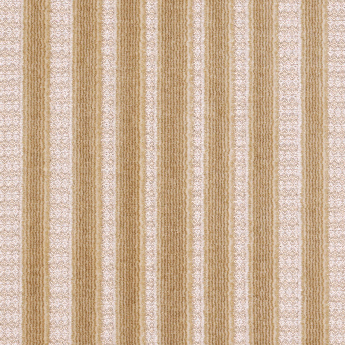 CHIMAY-STRIPE-VELVET-CHAMPAGNE-SCHUMACHER-82153