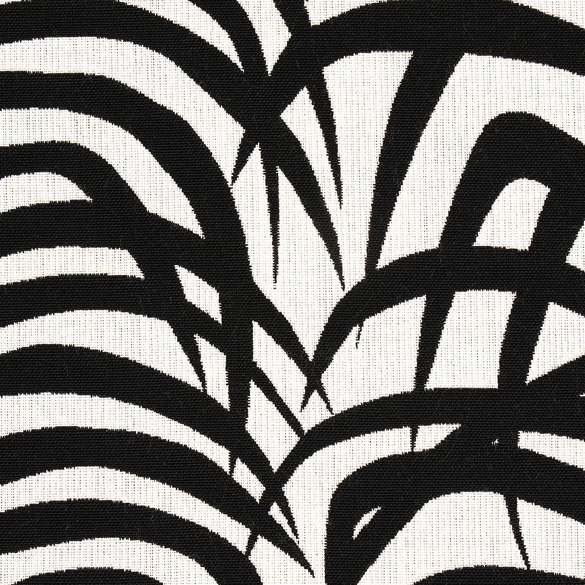 ZEBRA-PALM-INDOOR-OUTDOOR-BLACK-SCHUMACHER-82782