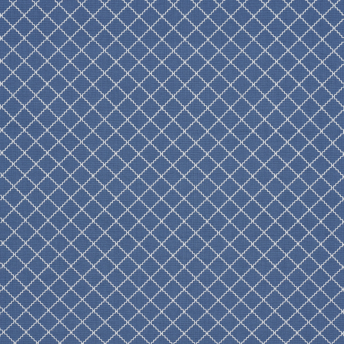 MAGGIE-LATTICE-COBALT-SCHUMACHER-83762