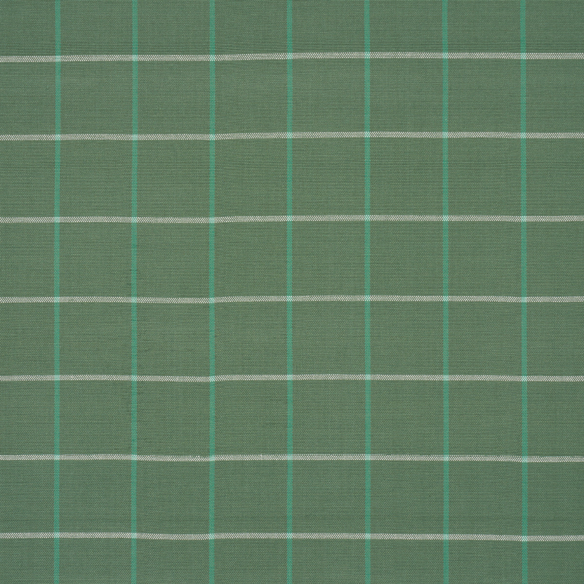 FRANNIE-WINDOWPANE-GREEN-SCHUMACHER-83783