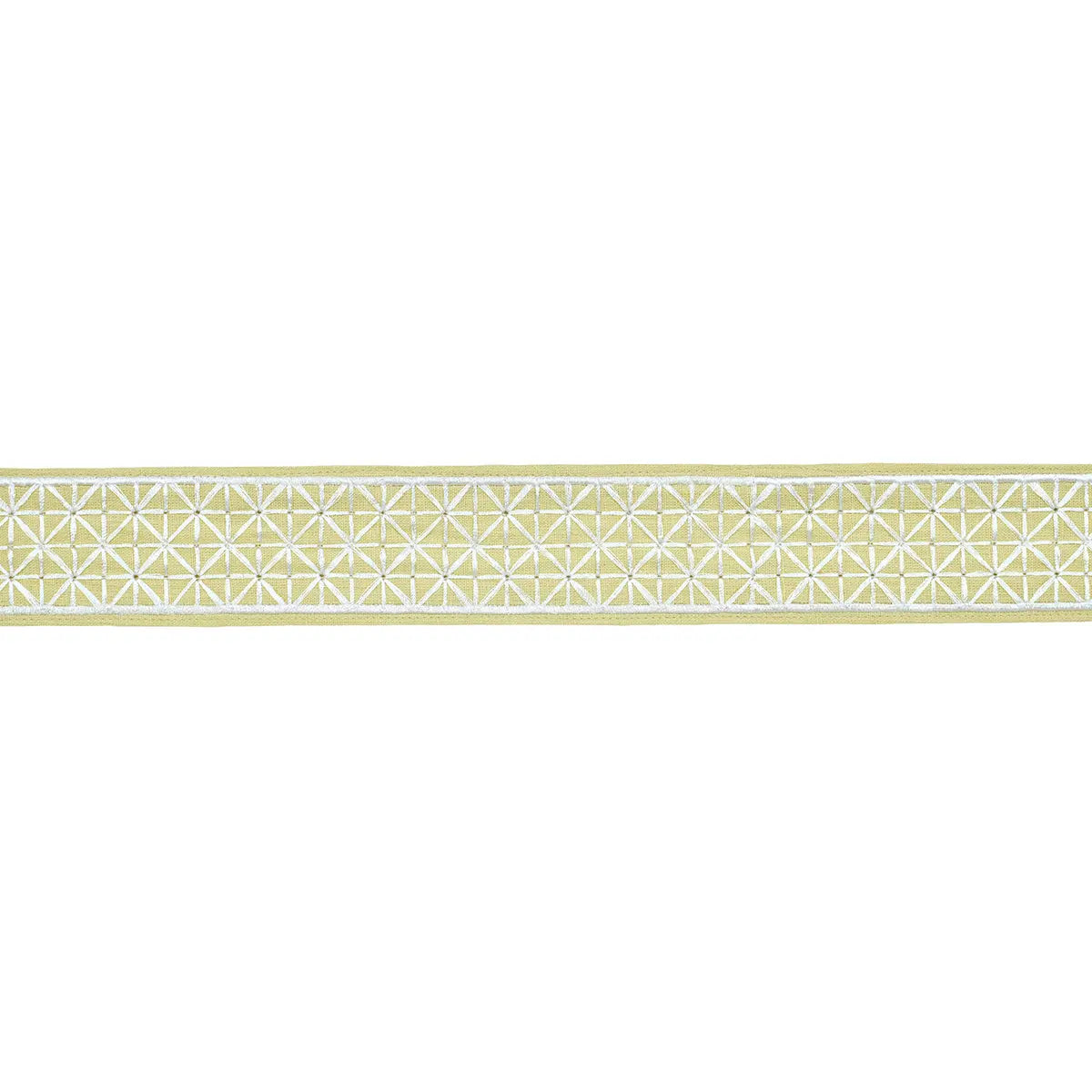 DIRECTOIRE-TAPE-NARROW-CITRON-SCHUMACHER-83853