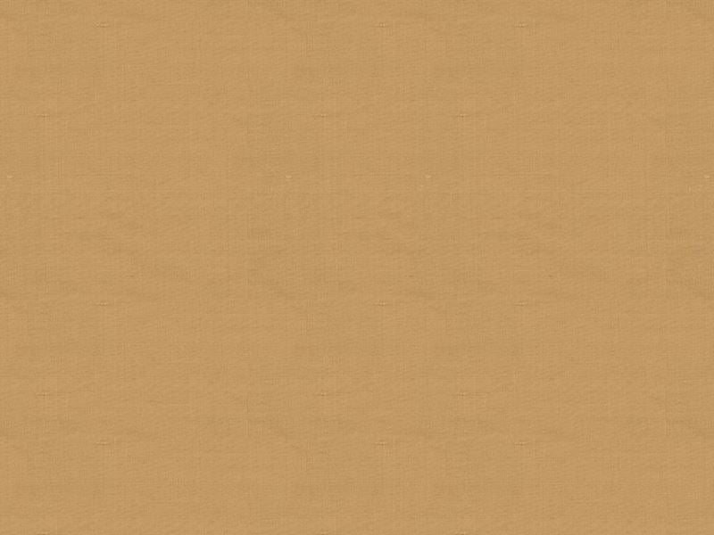 Kravet Basics Fabric 8486.4040 Pavillon Silk Harvest