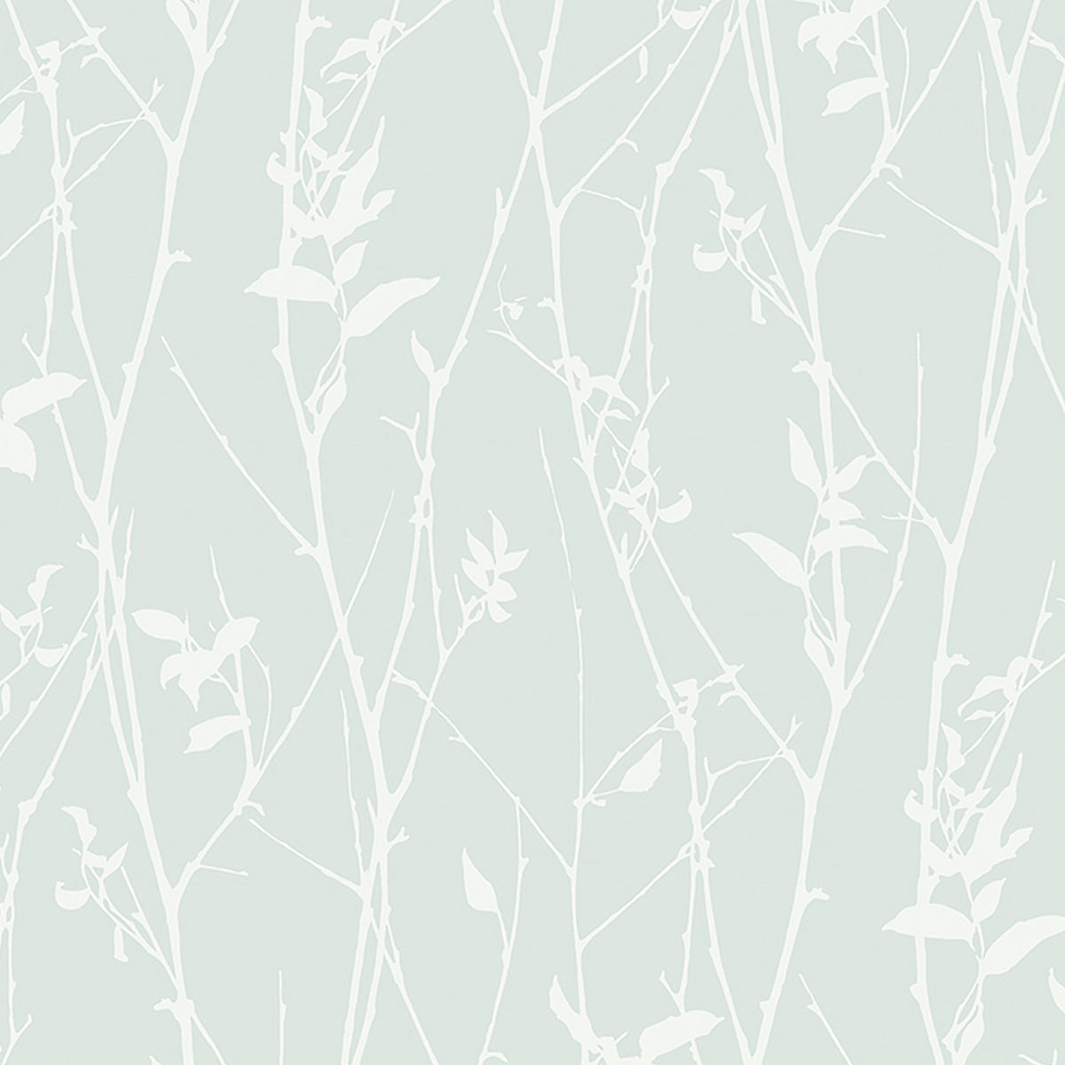 BOTANICAL-WHISP-MINERAL-SCHUMACHER-9319