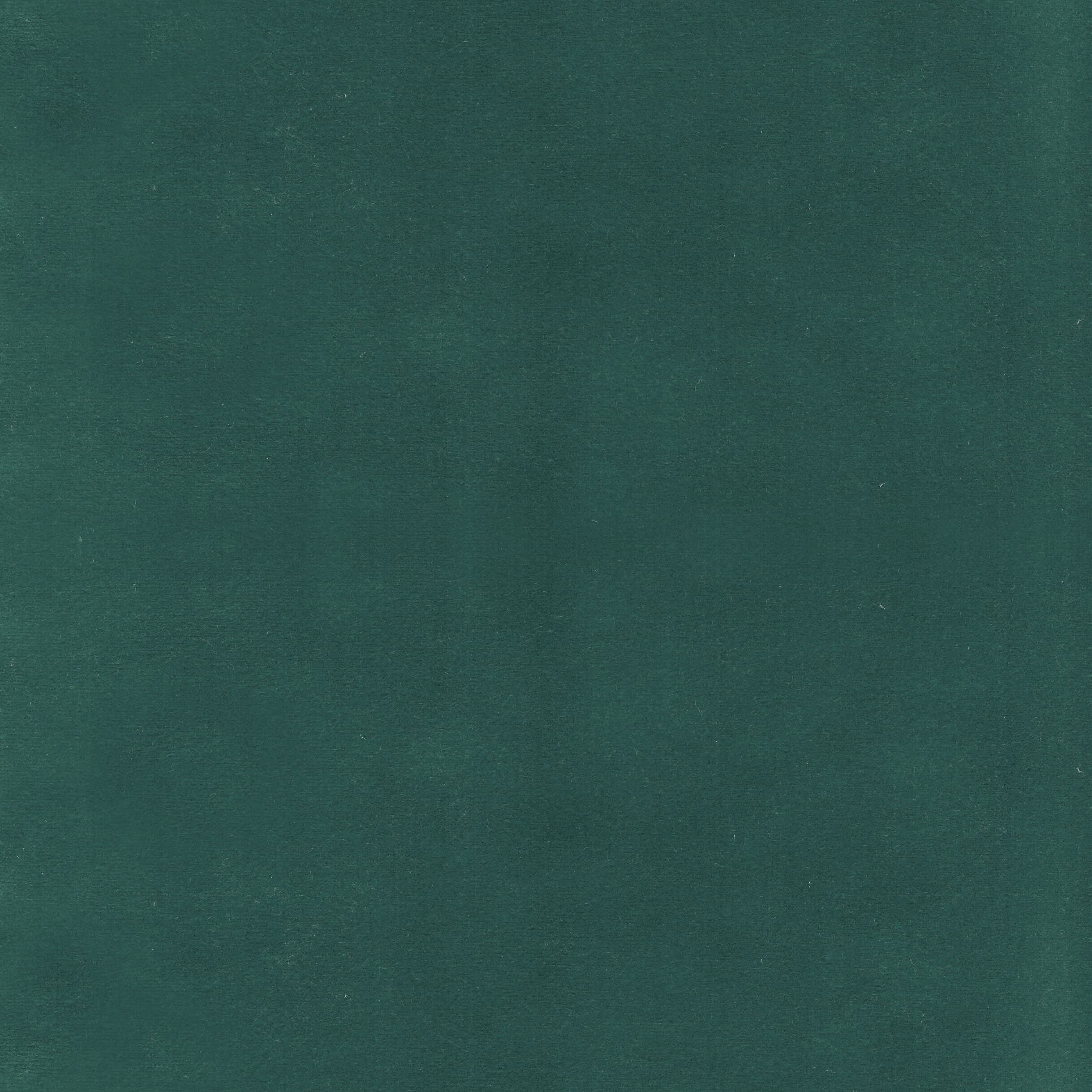 Beechwood 3 Evergreen by Stout Fabric