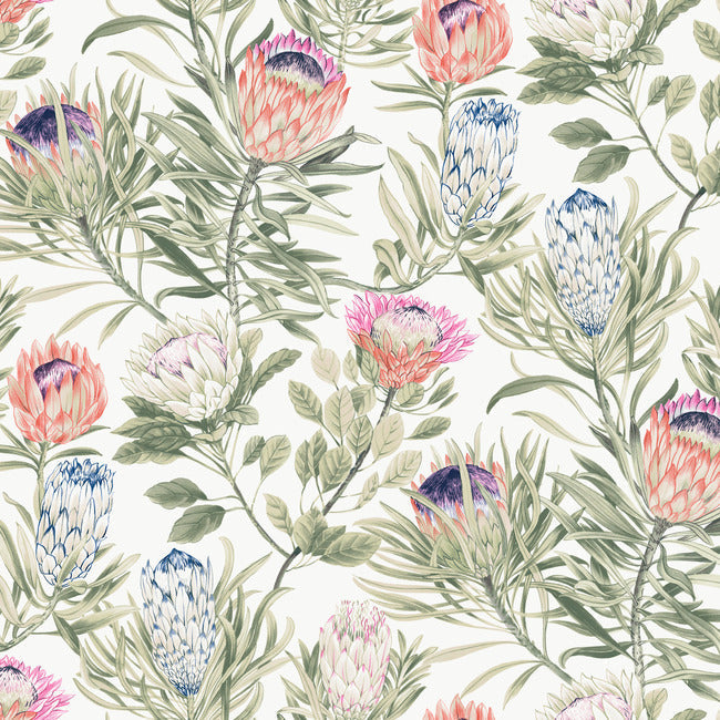 protea-wallpaper-white-fuchsia-york-wallcoverings-bl1752