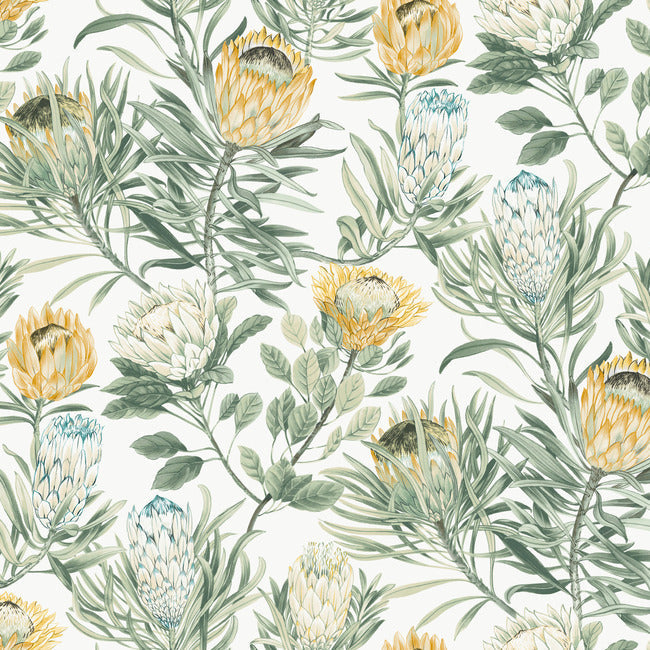 Protea Wallpaper - White/Yellow - York Wallcoverings - BL1754