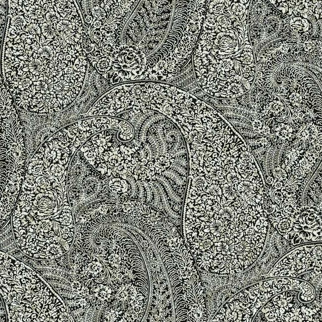 Kashmir Dreams Paisley Wallpaper - Black - York Wallcoverings - BO6654