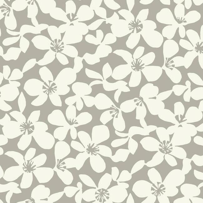 Free Spirit Wallpaper - Mocha - York Wallcoverings - BO6681