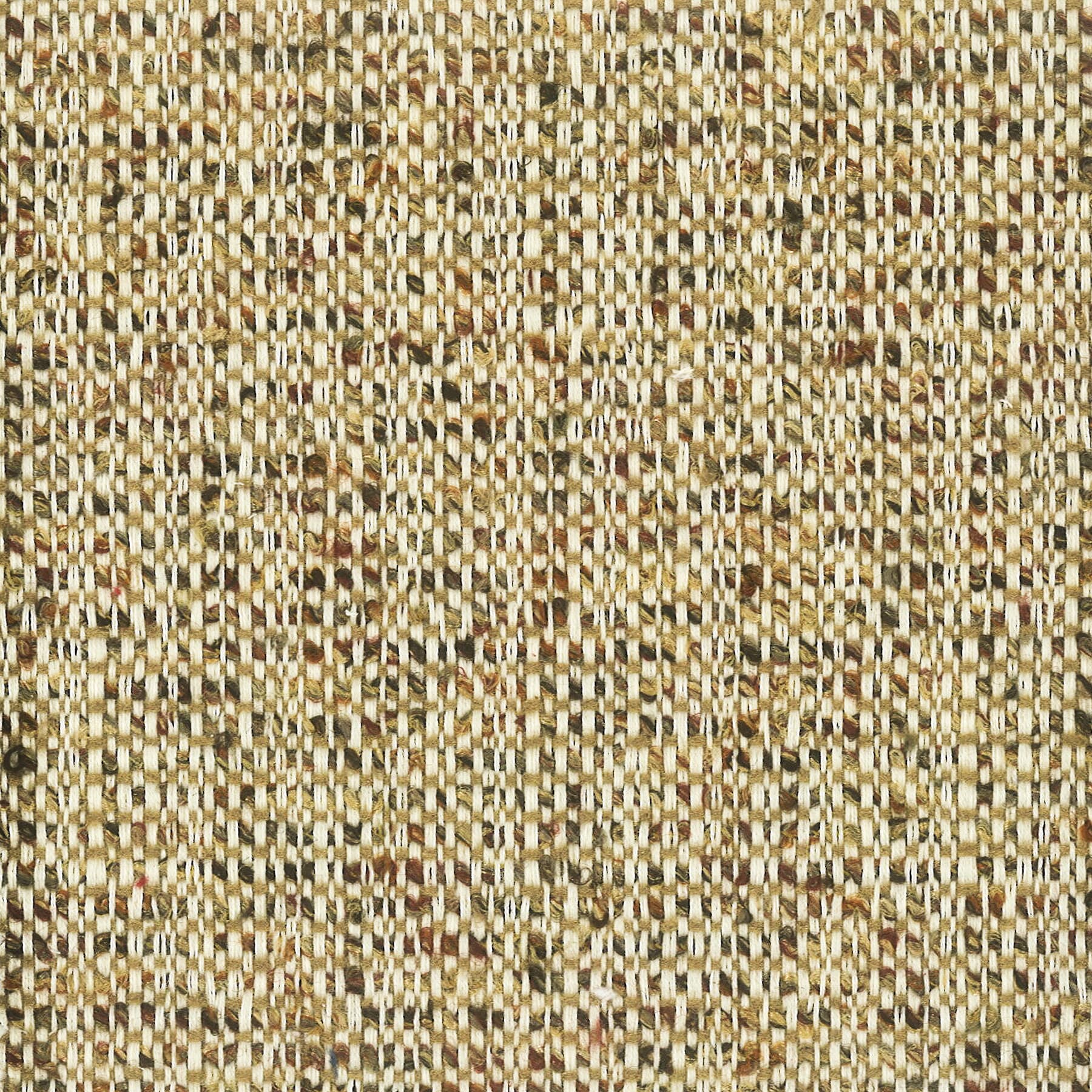 Bridle 2 Acorn by Stout Fabric