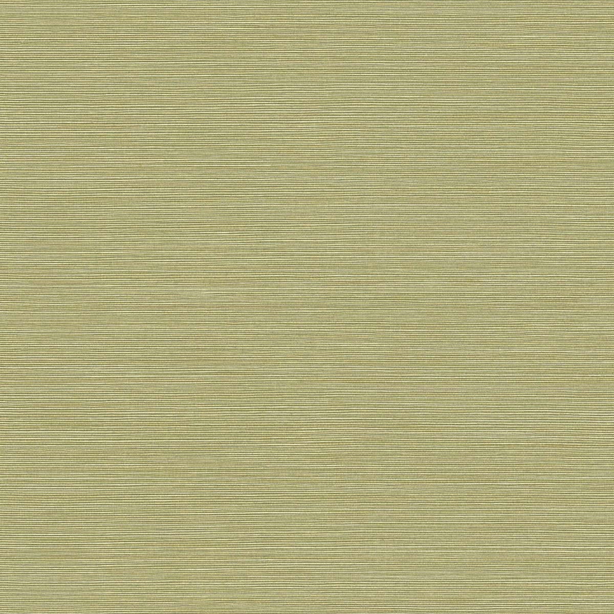 Seabrook Designs BV30424 Texture Gallery Coastal Hemp  Wallpaper Lime Moss 