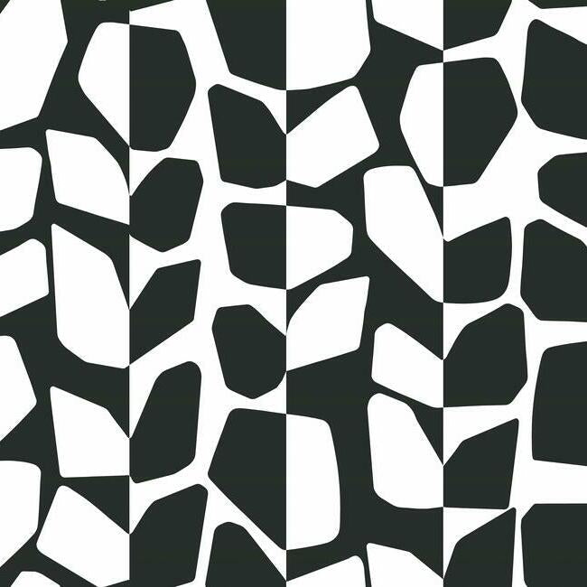 Primitive Vines Wallpaper - Black/White - York Wallcoverings - BW3893