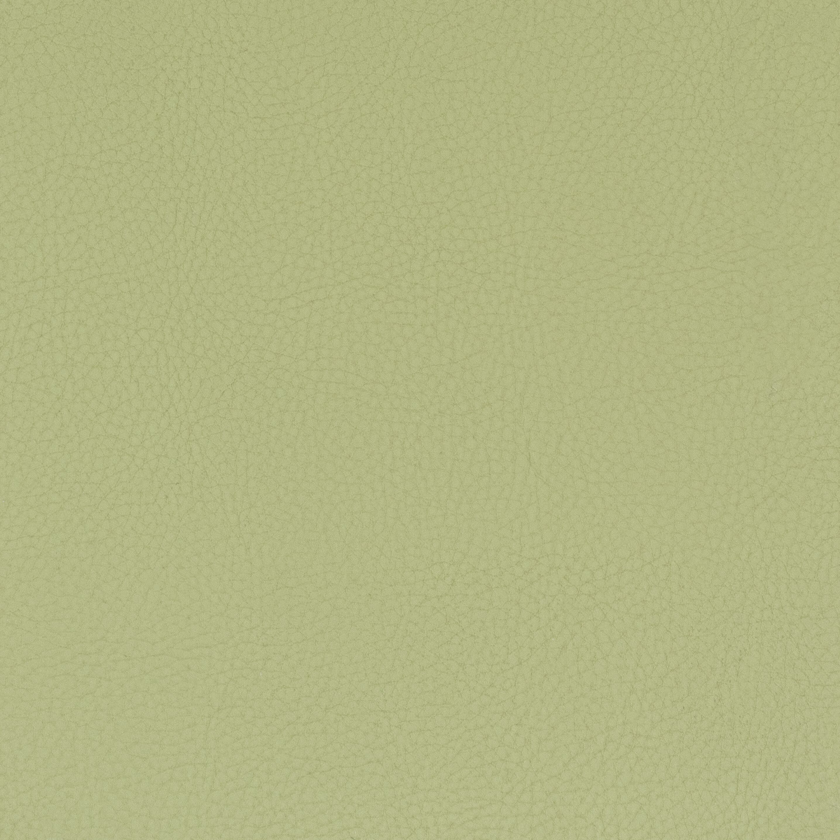 Classic 8 Pistachio by Stout Fabric