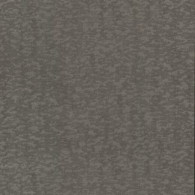 Weathered Cypress Wallpaper - Warm Silver - York Wallcoverings - DD3751