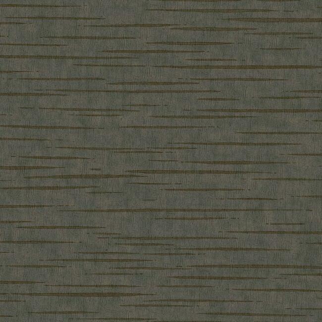 tigers-eye-wallpaper-charcoal-york-wallcoverings-dd3765