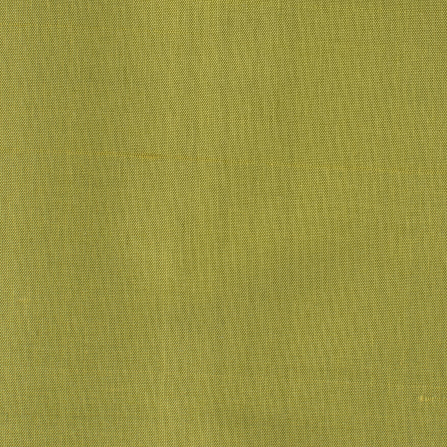 Dupioni 35 Pistachio by Stout Fabric