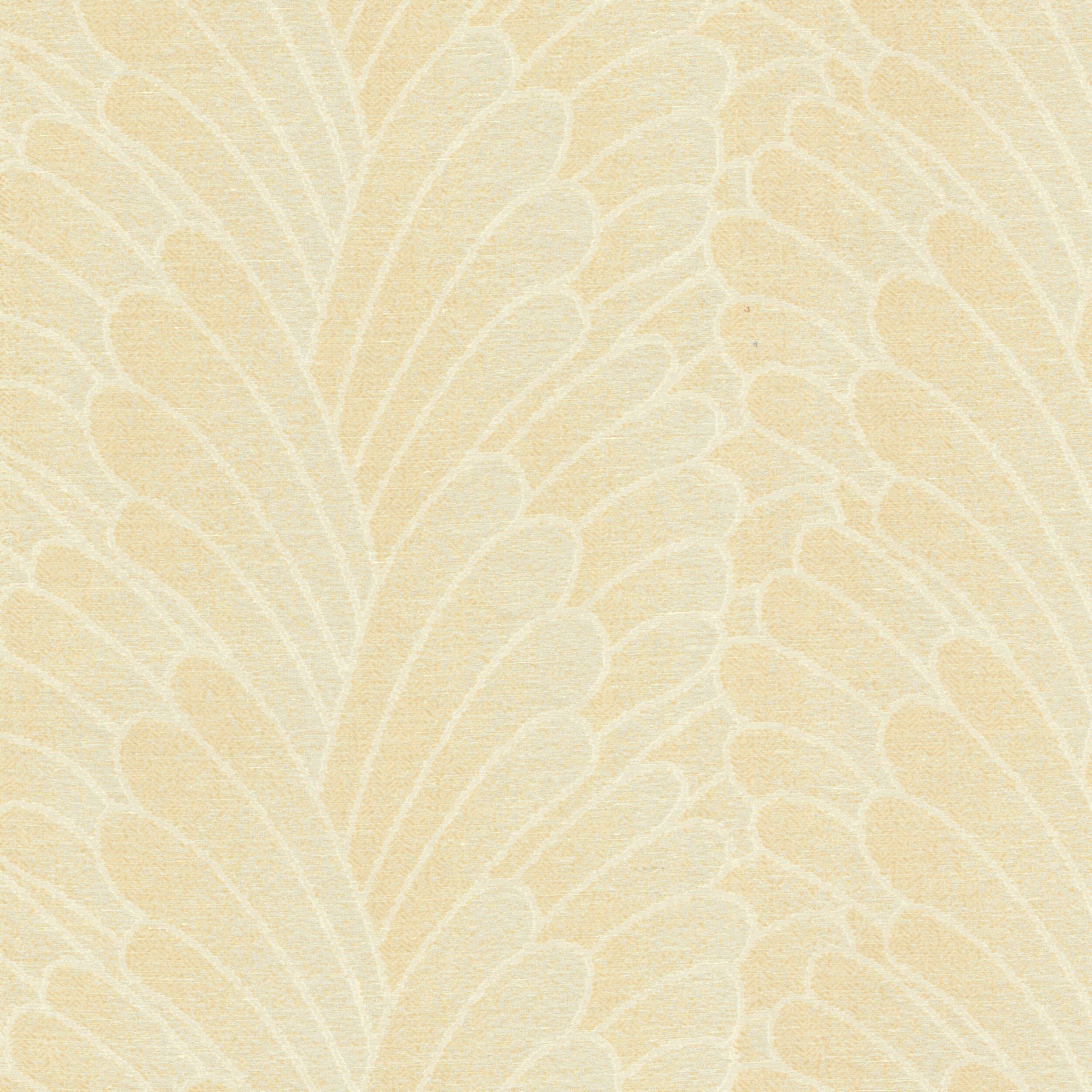 Elizabeth 1 Champagne by Stout Fabric