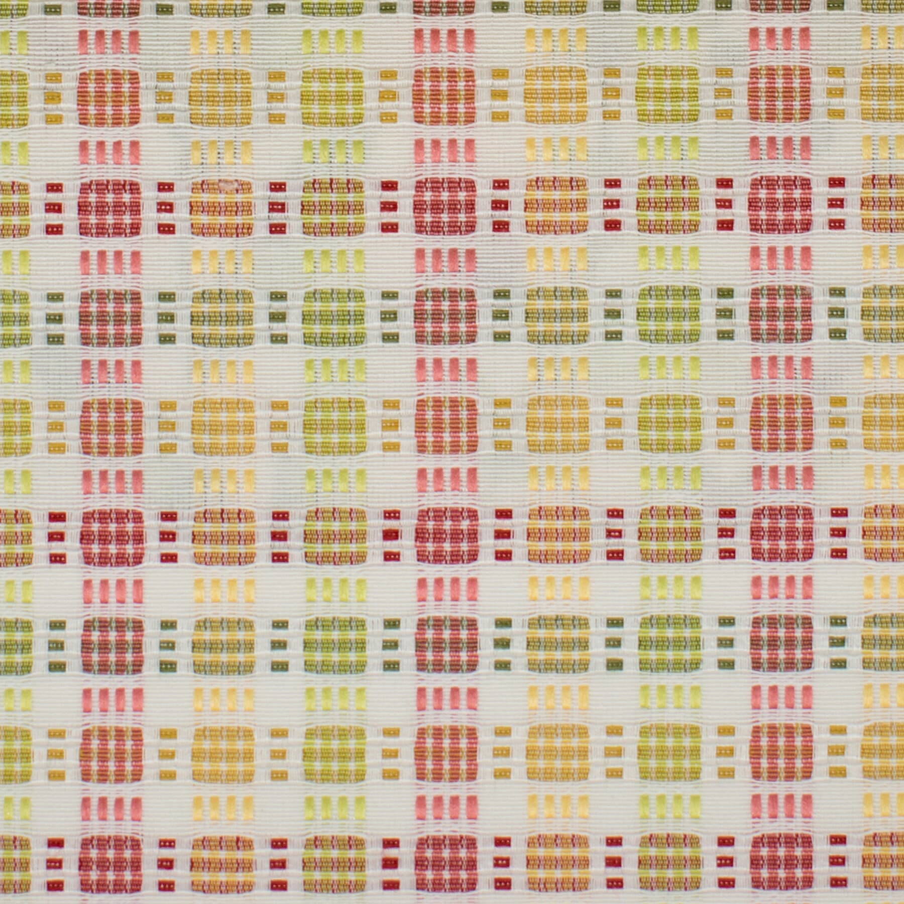 Gift 4 Tuttifrutti by Stout Fabric