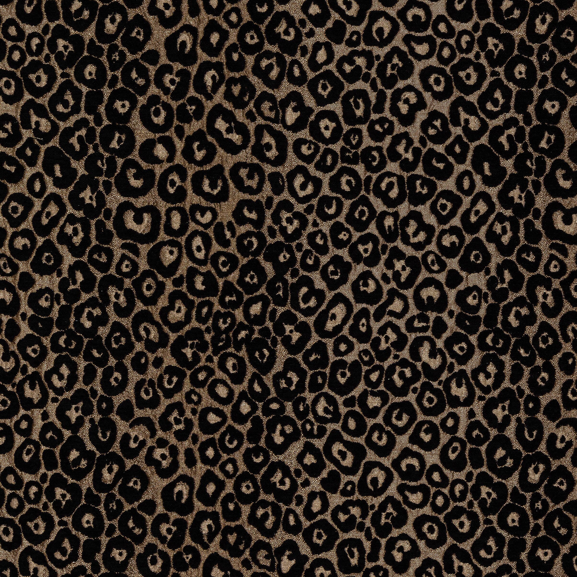 Hidalgo 1 Onyx by Stout Fabric